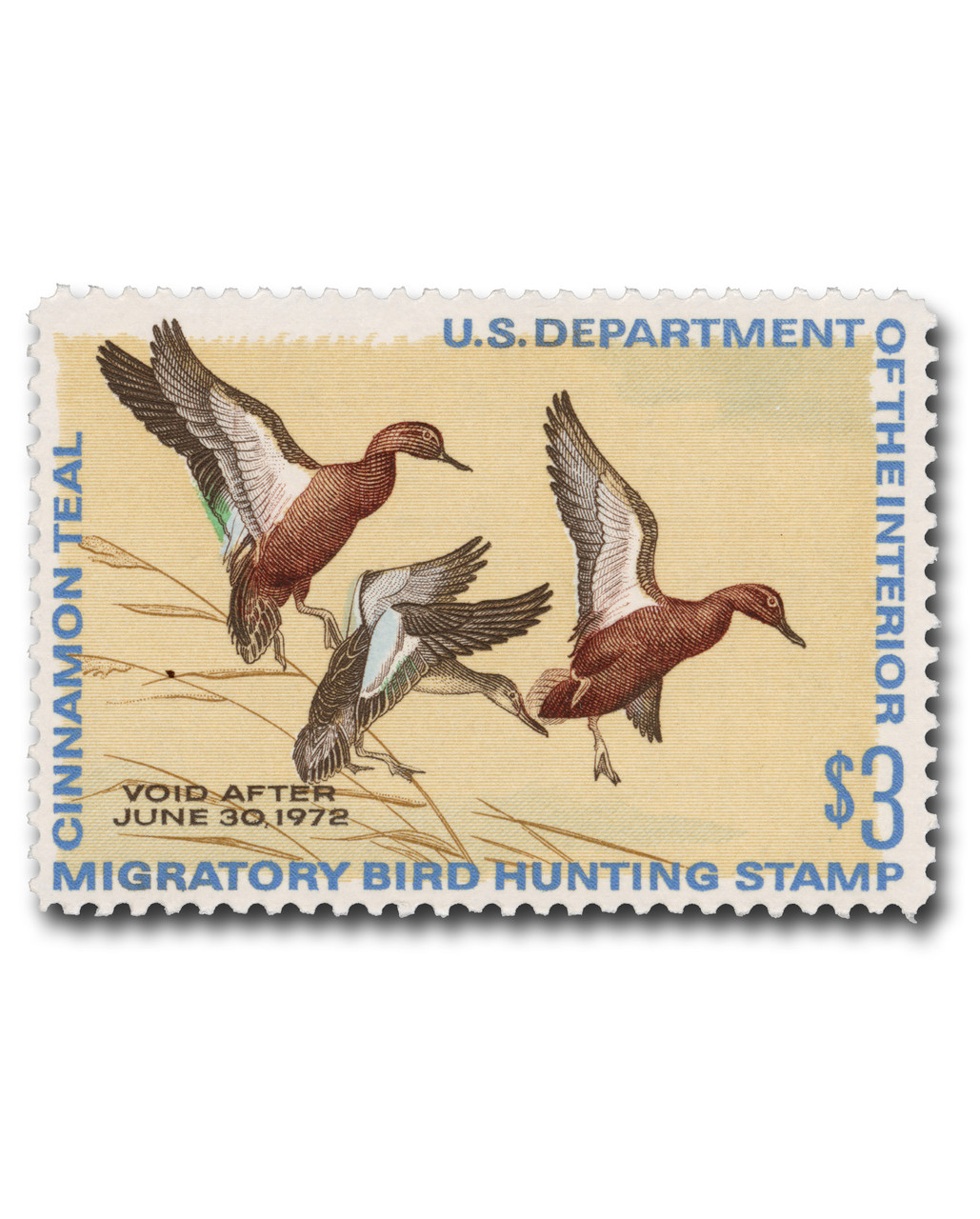 RW38 - 1971 $3.00 Federal Duck Stamp - Three Cinnamon Teal