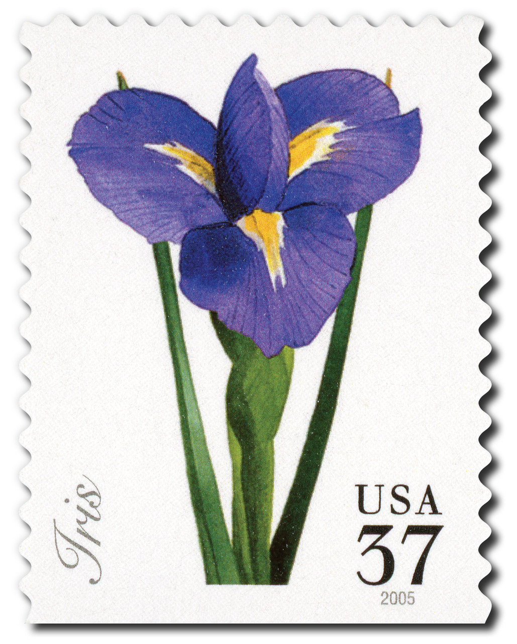 春夢遺葉 Dreams of Springs 3903 - 2005 37c Spring Flowers: Iris - Mystic Stamp Company
