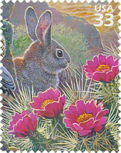 3293g - 1999 33c Sonoran Desert: Dessert Cottontail