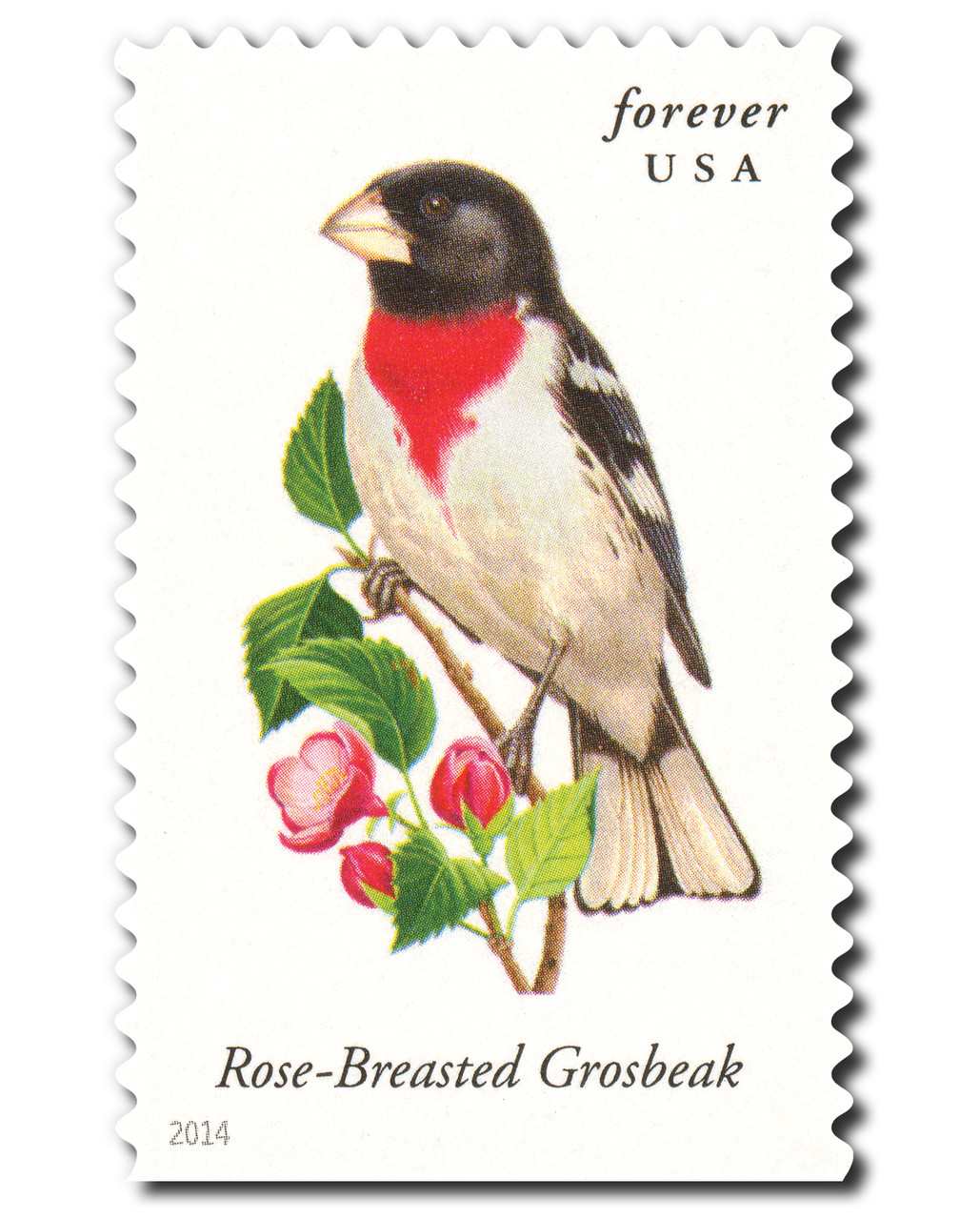 4889 - 2014 First-Class Forever Stamp - Songbirds: Rose-Breasted Grosbeak