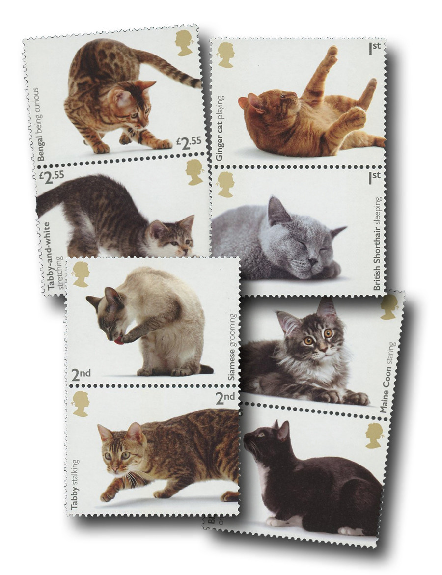 MFN337 - 2022 Cats Stamp Set, Domestic Cats in Playful Repose, 8 Mint Stamps, Great Britain