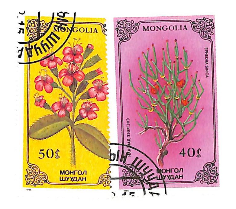 1516-17 - 1986 Mongolia