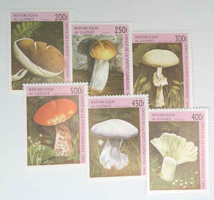 1347-52 - 1996 Guinea