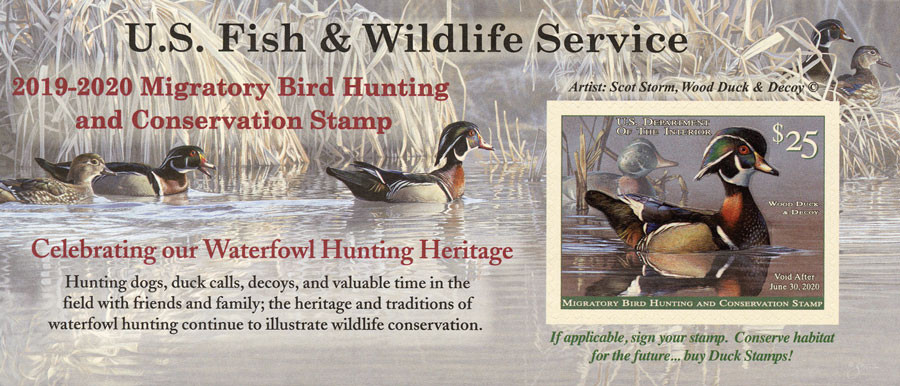 RW86A - 2019 $25.00 Federal Duck Stamp - Wood Duck