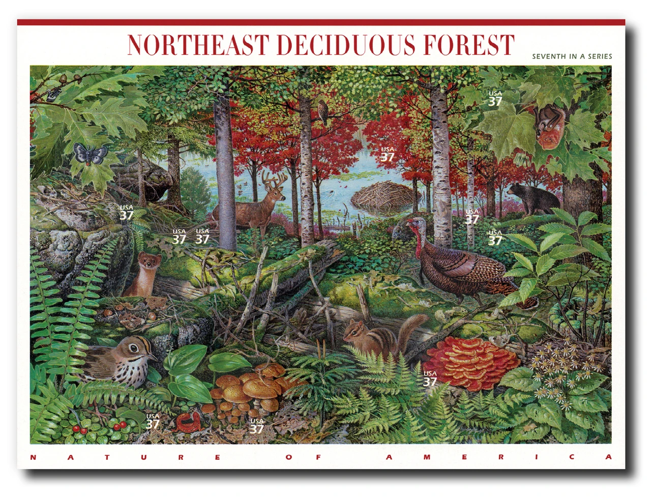 3899 - 2005 37c Nature of America: Northeast Deciduous Forest