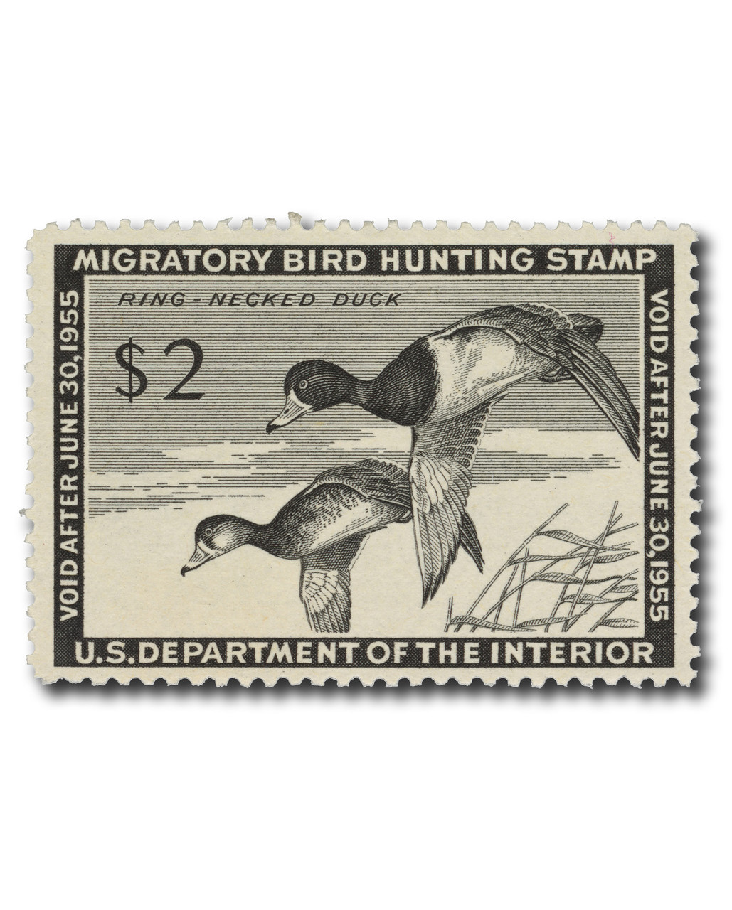 RW21 - 1954 $2.00 Federal Duck Stamp - Ring-Necked Ducks