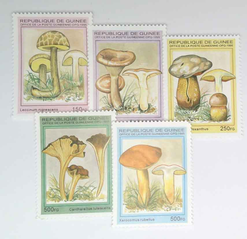 1331-35 - 1995 Guinea