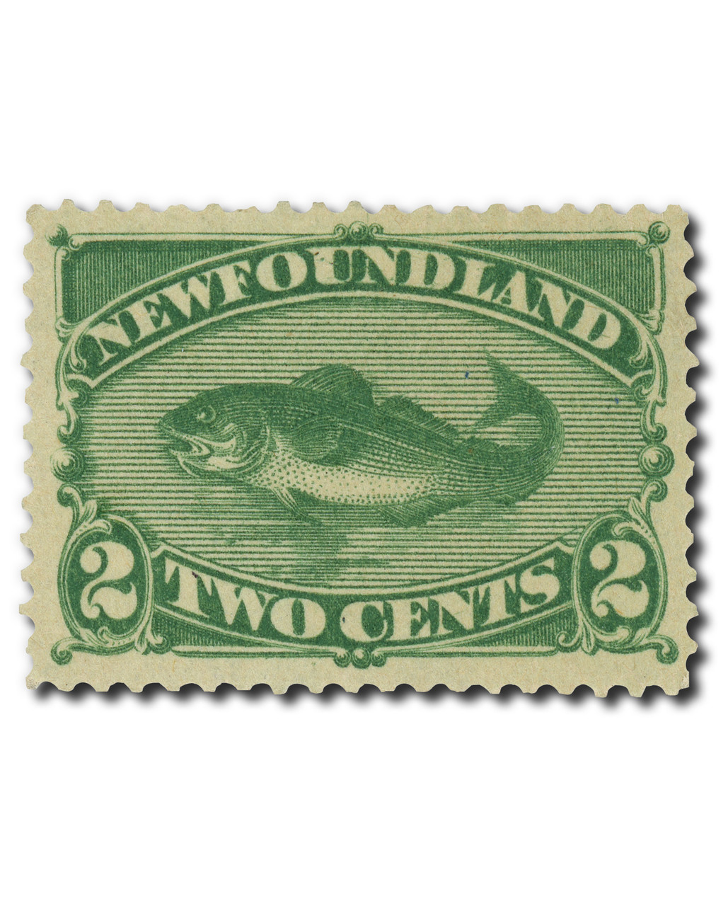 47 - 1896 Newfoundland