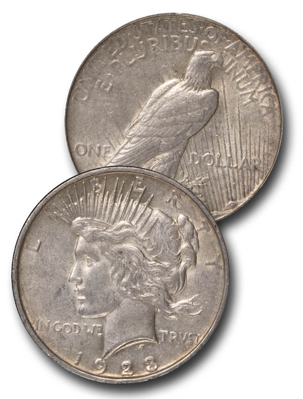 【お買い得】送料込◆Digitech◆Whammy◆Ricochet◆ワーミー CW-923D - 1923-D Peace Dollar - Mystic Stamp Company