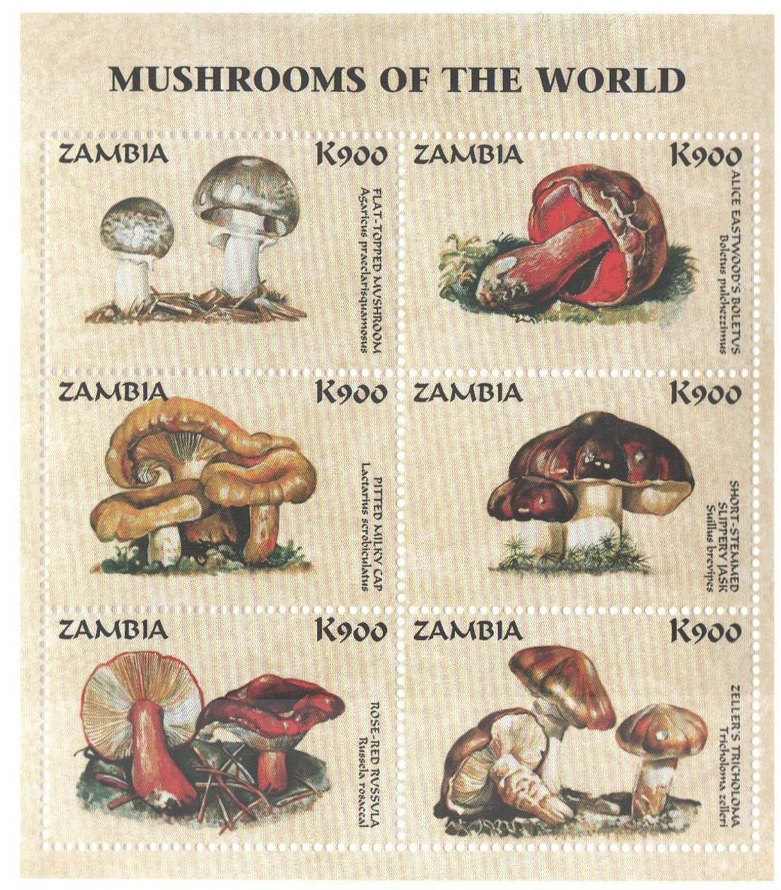 750 - 1998 Zambia