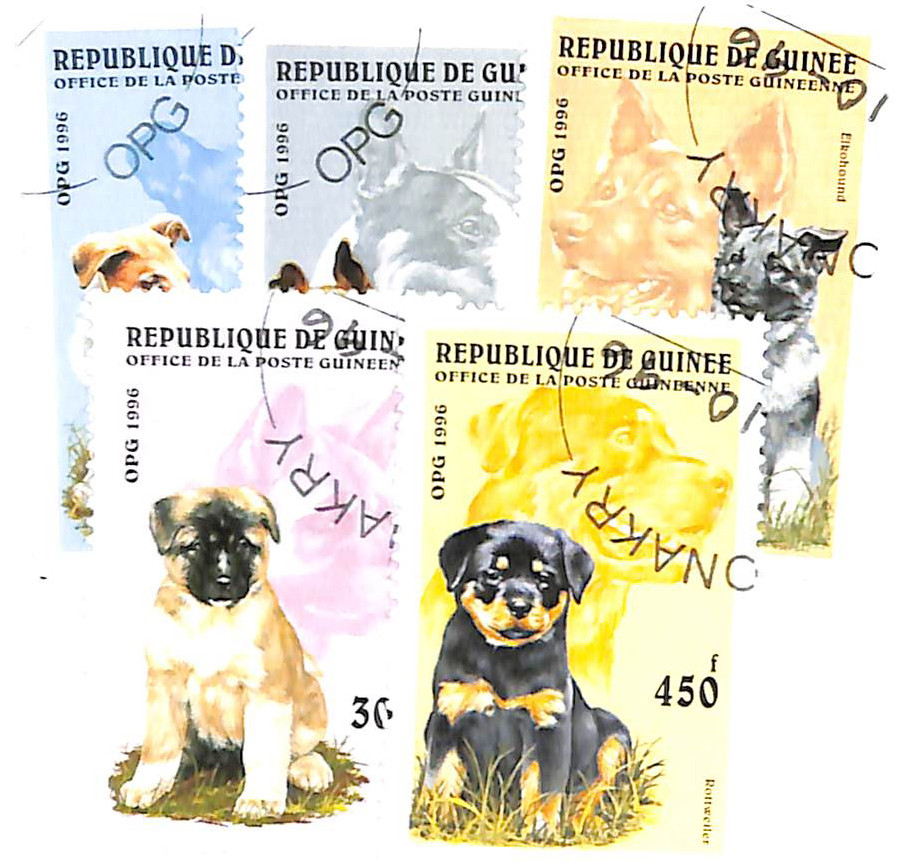 1340-44 - 1996 Guinea