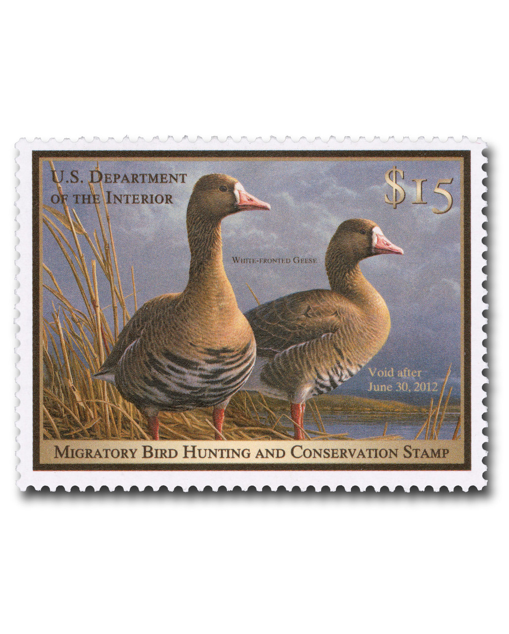 RW78 - 2011 $15.00 Federal Duck Stamp - White-Fronted Geese