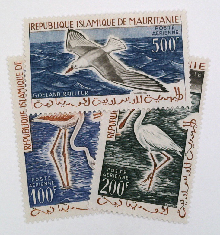 C14-16 - 1961 Mauritania