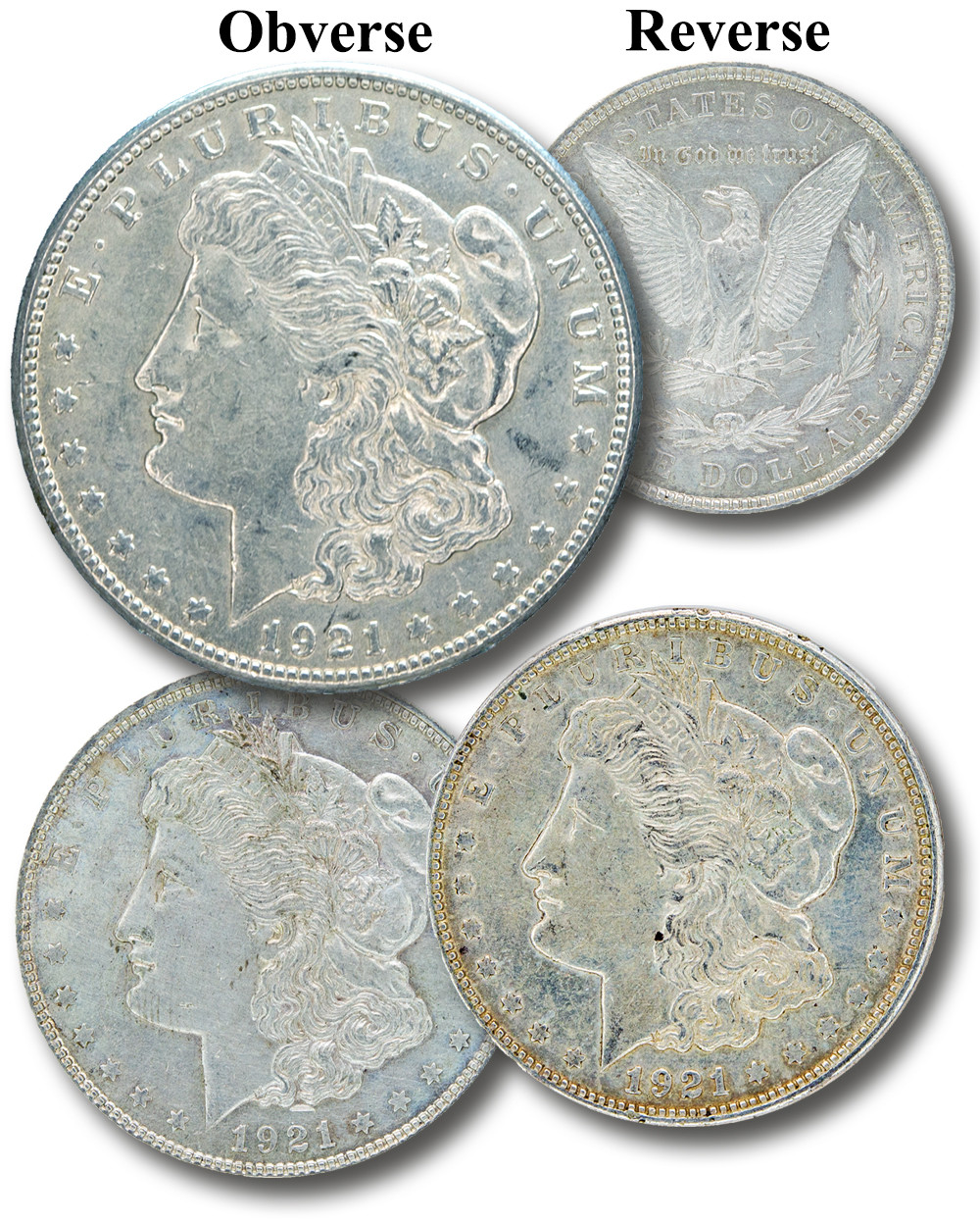 MCN096 - 1921 Morgan Silver Dollars, XF, Set of 3 - Mystic Stamp
