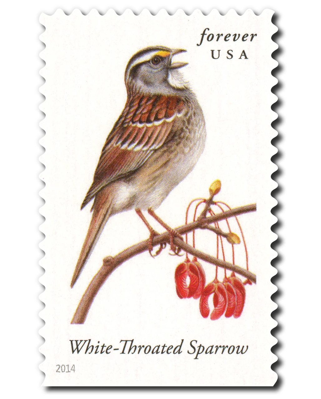 4891 - 2014 First-Class Forever Stamp - Songbirds: White-Throated Sparrow