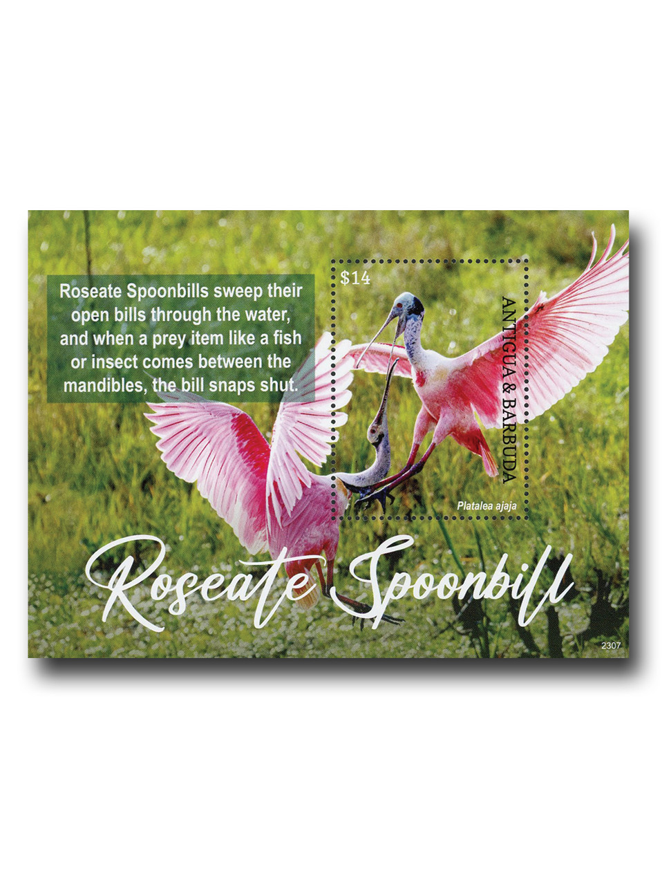 MFN642 - 2023 $14 Roseate Spoonbill Mint Souvenir Sheet, Antigua