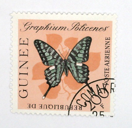 C48 - 1963 Guinea