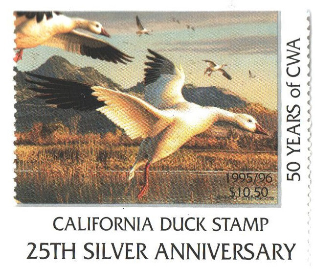 SDCA26e - 1995 California State Duck Stamp