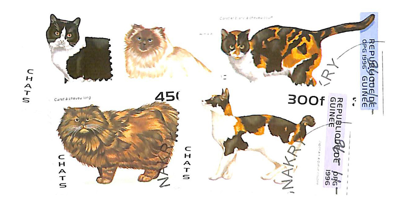 1361-65 - 1996 Guinea