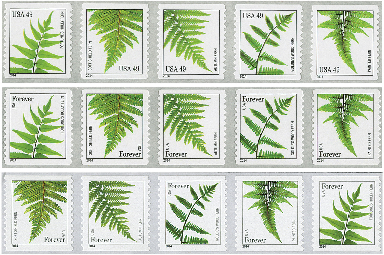 4848/4977 - 2014-15 Ferns, collection of 15 stamps