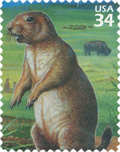 3506d - 2001 34c Great Plains Prairie: Black-Tailed Prairie Dog