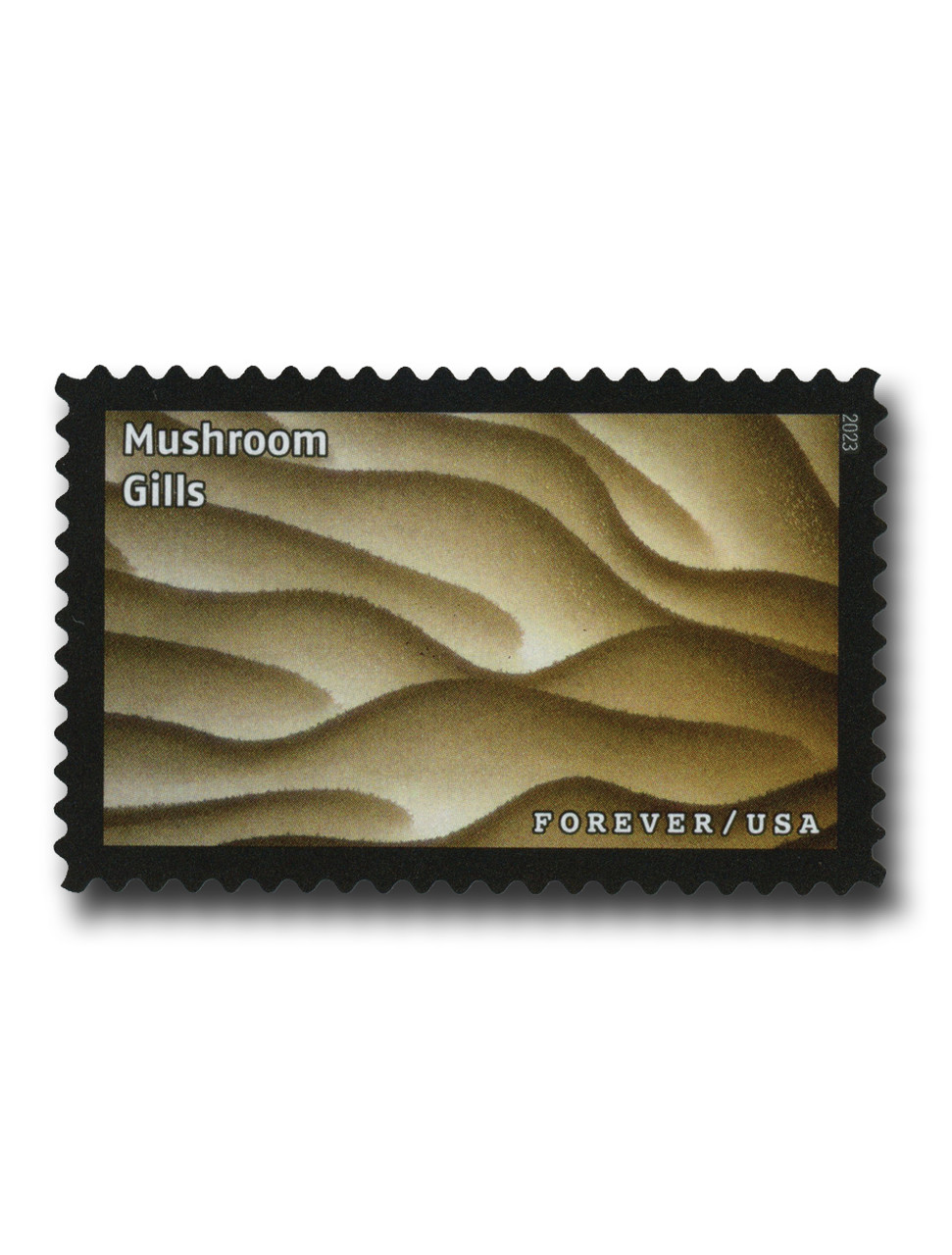 5802n - 2023 First-Class Forever Stamp - Life Magnified: Mushroom