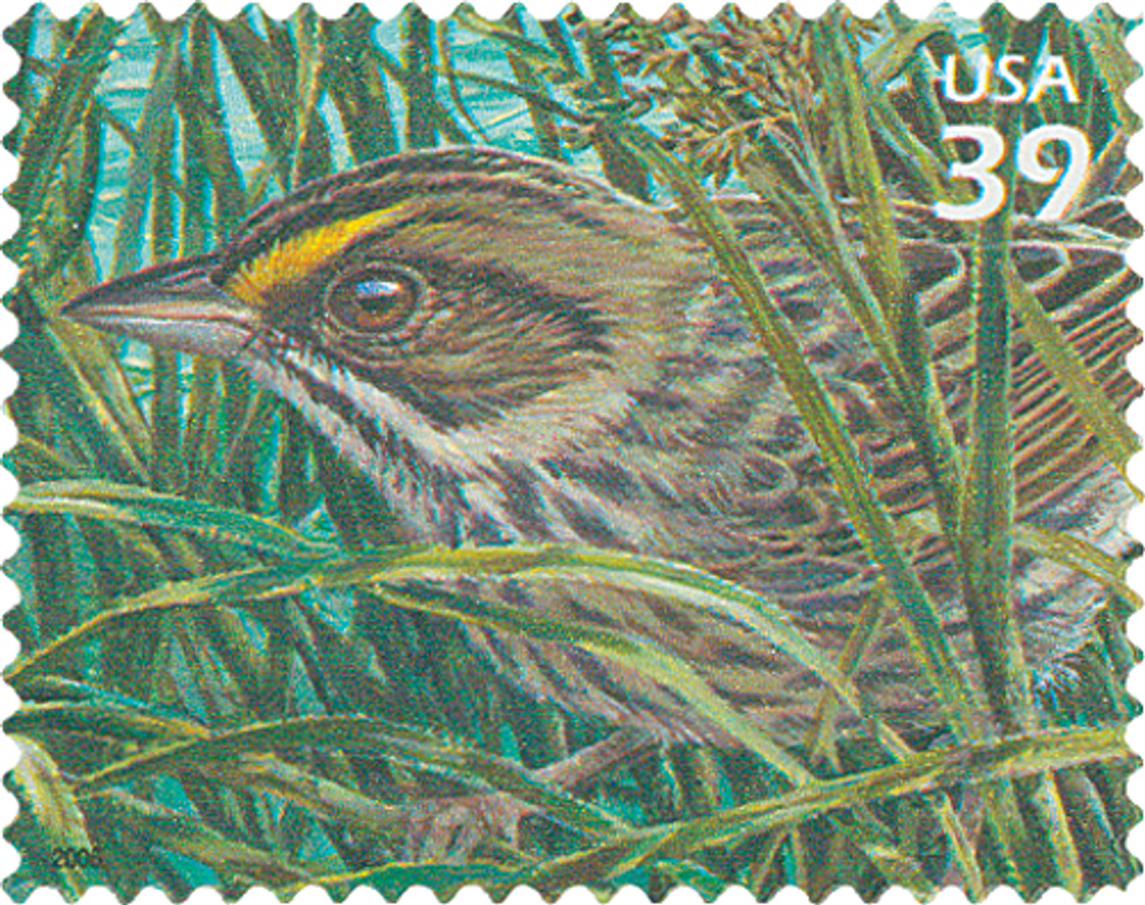 4099h - 2006 39c Southern Florida Wetland: Seaside Sparrow