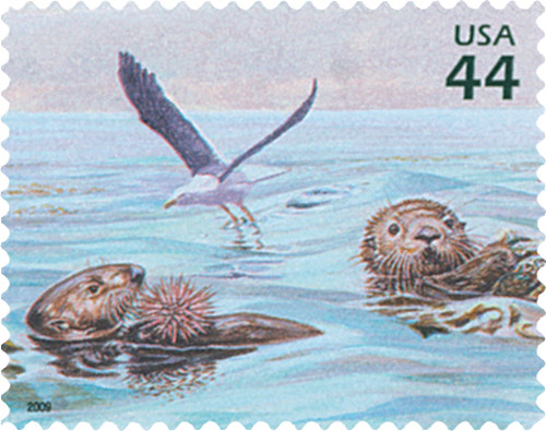 4423b - 2009 44c Kelp Forest: Sea Otters and Seagull