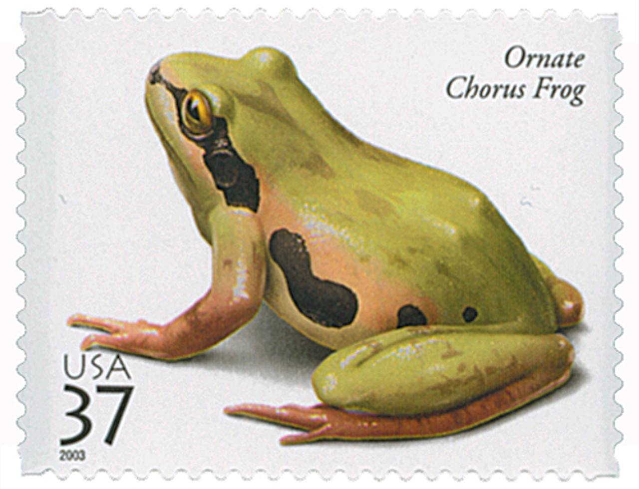 3817 - 2003 37c Reptiles and Amphibians: Ornate Chorus Frog
