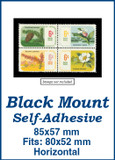 MM5618 - 85x57mm 25 Horizontal Black Self-Adhesive Mounts
