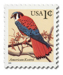 2477 - 1995 1c Flora & Fauna Series: American Kestrel, Cent Sign