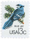 1757d - 1978 13c CAPEX Wildlife: Blue Jay