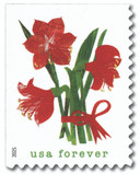 6033 - 2025 First-Class Forever Stamp - Amaryllis Flowers