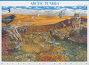 3802 - 2003 37c Nature of America: Arctic Tundra