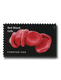 5802a - 2023 First-Class Forever Stamp - Life Magnified: Red Blood Cells