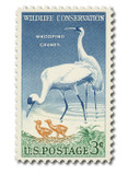 1098 - 1957 3c Whooping Cranes