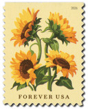 6067 - 2026 First-Class Forever Stamp - Sunflowers