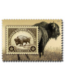 6099 - 2026 First-Class Forever Stamp - American Bison