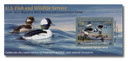RW93A - 2026 $25.00 Federal Duck Stamp - Bufflehead
