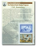 RW75th - 2008 $15.00 Federal Duck Stamp - Northern Pintails, 75th Anniversary Souvenir Sheet