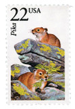 2319 - 1987 22c North American Wildlife: Pika