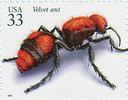 3351i - 1999 33c Insects and Spiders: Velvet Ant
