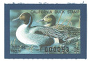 SDCA24 - 1993 California State Duck Stamp