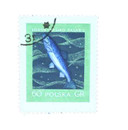 810-14 - 1958 Poland