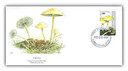 117263A - 1992 Nevis 40c Psilocybe Cubensis Mushroom