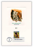 4901975 - 1994 Laramie Cancel, Ntve American Cltre PFCD