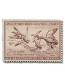 RW20 - 1953 $2.00 Federal Duck Stamp - Blue-Winged Teal