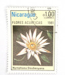 1115 - 1981 Nicaragua