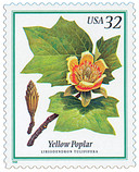 3195 - 1998 32c Flowering Trees: Yellow Poplar 3195 - 1998 32c Flowering Trees: Yellow Poplar