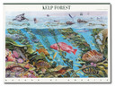4423 - 2009 44c Nature of America: Kelp Forest